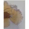 Image 3 : Gorgonia Vetalina/Sea Fan - 10.5" x 6"  -  PICK UP PREFERRED