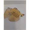 Image 4 : Gorgonia Vetalina/Sea Fan - 10.5" x 6"  -  PICK UP PREFERRED