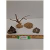 Image 1 : Malasian Driftwood, Bi-Valve Shells, Volcanic Rock