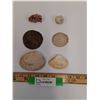 Image 1 : Sand Dollar (3"), (3) Mussel Sea Shells (3"), Quartz w/Hematite (2"), White Soap Ball Rock (1.25")