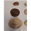 Image 2 : Sand Dollar (3"), (3) Mussel Sea Shells (3"), Quartz w/Hematite (2"), White Soap Ball Rock (1.25")