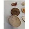 Image 4 : Sand Dollar (3"), (3) Mussel Sea Shells (3"), Quartz w/Hematite (2"), White Soap Ball Rock (1.25")