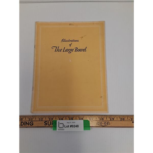 Illustrations of The Large Bowel Medical Booklet - 1929 Copyright