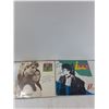 Image 4 : (9) Records - Paul Young, John Miles, Garland Jeffreys, Misc