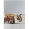 Image 4 : (10) Records - Leif Garret, Dan Hill, Ronney Abramson, Misc