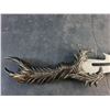 Image 2 : 9" Fixed Blade Decorative/Skyrim Style Knife