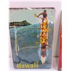 Image 3 : Hawaii and Welcome to Paradise Metal Aluminum Signs