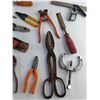 Image 4 : Wood Plane, Pliers, Chisel, Wire Strippers, Ratchet Wrench, Tin Shears, Nail Puller and Misc