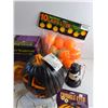 Image 6 : Halloween Decor, Lawn Lites, Lite Stik and Revolving Shadow Projection Light