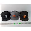 Image 1 : (3) Hats- Dairy Farmers of Canada, Ripzone, Baxter