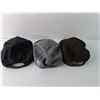 Image 2 : (3) Hats- Dairy Farmers of Canada, Ripzone, Baxter