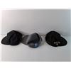 Image 3 : (3) Hats- Dairy Farmers of Canada, Ripzone, Baxter