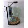 Image 4 : Fish Aquarium with Light- Powers On 12" x 12"  -  PICK UP