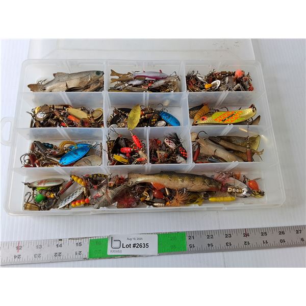 Fishing Hooks & Case