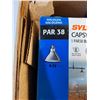 Image 4 : (13) Sylvania Halogen Capsylite Light Bulbs - New