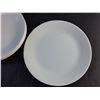 Image 3 : (8) Break & Chip Resistant 10" Dining Plates