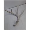Image 3 : Deer Stag Skull Incomplete Attached Antlers, One Small Antler