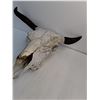 Image 2 : Cow/Bull Skull With Horns
