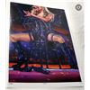 Image 1 : Taylor Swift Vigilante Limited Edition Art Print