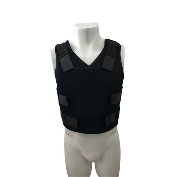 Southland Tales Teri Riley (Lisa K. Wyatt) Movie Costumes