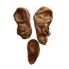 Image 2 : Apocalypto Native ear prosthetics Movie Props