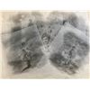 Image 1 : Lisa Williams: Life Among the Dead Concept Artwork Movie Memorabilia