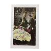 Image 2 : J. Beagles & Co. & Lily White Rare Portrait Postcard Collection (9)