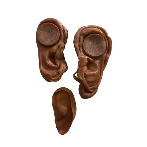 Apocalypto Native ear prosthetics Movie Props