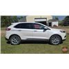 Image 7 : SUV : 2019 Ford Edge Titanium AWD
