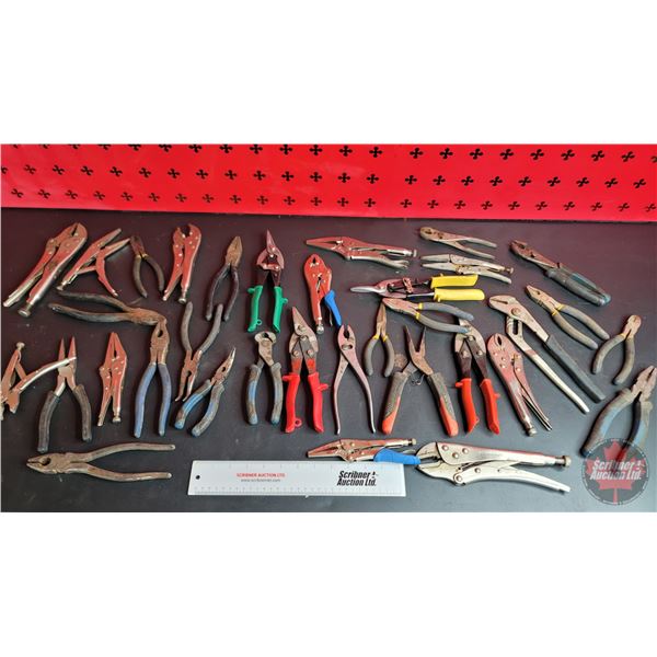 Grouping: Large Variety of Pliers; Vise Grips; Tin Snips