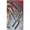 Image 2 : Grouping: Large Variety of Pliers; Vise Grips; Tin Snips