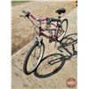 Image 3 : Dunlop Snowbird 21 Spd Bicycle