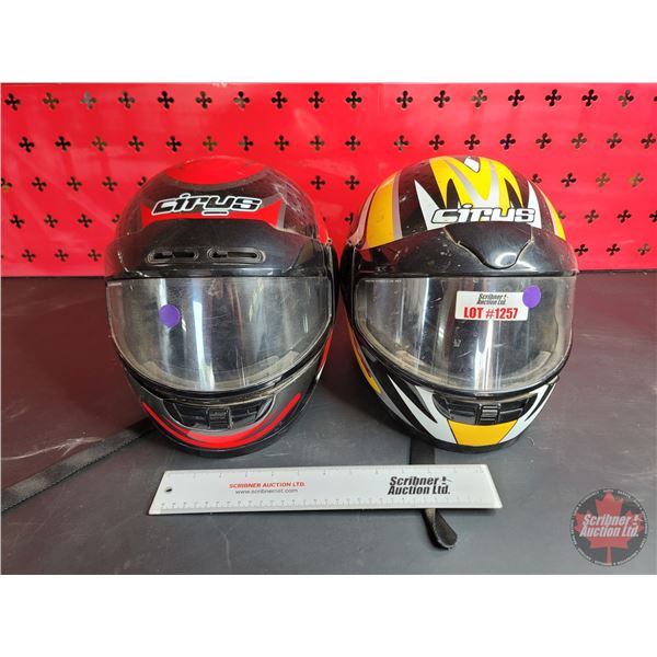 Snowmobile Helmets (2)