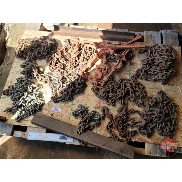 Pallet Lot ~ Grouping : Variety Chains & 3 Boomers
