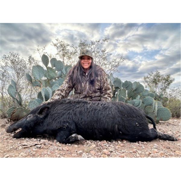 3-Day, 2-Night Hog Hunt for 4 Hunters