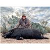 Image 1 : 3-Day, 2-Night Hog Hunt for 4 Hunters