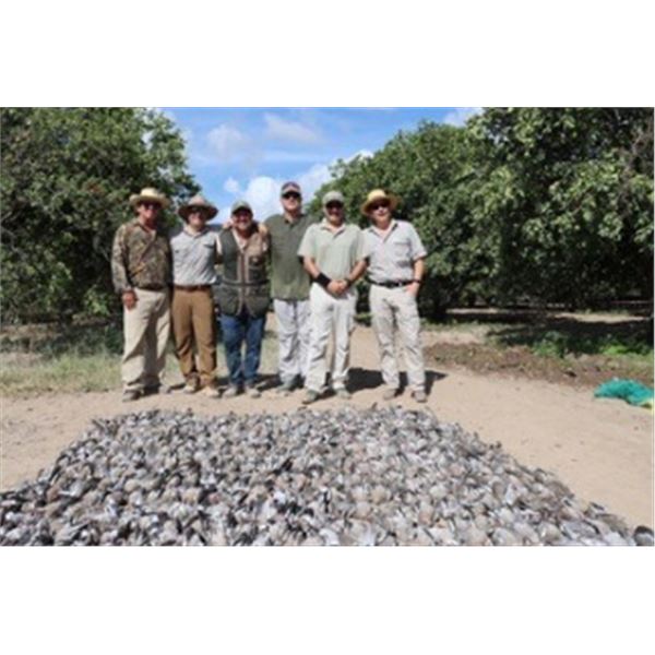 3-Night Dove Hunt for 2 Hunters with El Dorado Outfitters