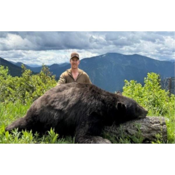 Henry Rifle 45-70: 6-Night Bear Hunt for 1 Hunter