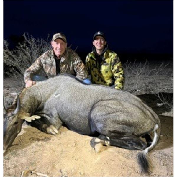 4-Day, 3-Night Trophy Hunt for 2 Hunters & 2 NonHunters: Scimitar-Horned Oryx, Axis, Aoudad & Nilgai