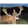 Image 1 : 5-Day Red Stag Hunt for Two Hunters in New Zealand Includes Trophy Fees for Two Red Stag up to 400"