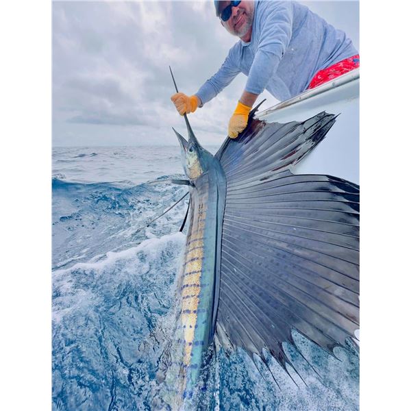 Costa Rica Sportfishing Trip for 4 Anglers