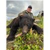 Image 1 : Black Bear Hunt for 1 Hunter & 1 Observer Vancouver Island, BC