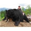Image 3 : Black Bear Hunt for 1 Hunter & 1 Observer Vancouver Island, BC