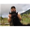 Image 4 : Black Bear Hunt for 1 Hunter & 1 Observer Vancouver Island, BC