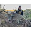Image 5 : Coues Deer Hunt for 5 Days in Sonora, Mexico