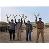 Image 8 : Coues Deer Hunt for 5 Days in Sonora, Mexico