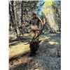 Image 1 : Montana 5 Day Elk Hunt for 1 Hunter on 13,500 Acre Private Ranch