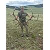 Image 4 : Montana 5 Day Elk Hunt for 1 Hunter on 13,500 Acre Private Ranch