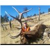 Image 5 : Montana 5 Day Elk Hunt for 1 Hunter on 13,500 Acre Private Ranch