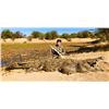 Image 2 : Dangerous Game Safari for Two Hunters Includes Trophy Fees for 2 Crocodiles, 10 Days